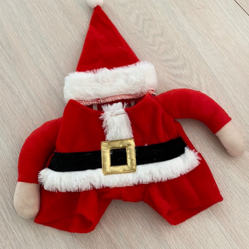 Santa dog outfit